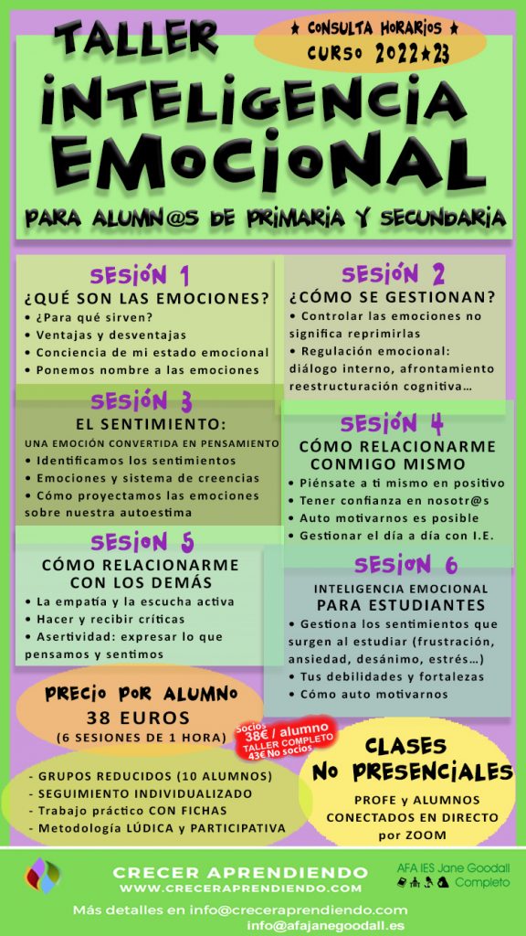 Taller Inteligencia Emocional